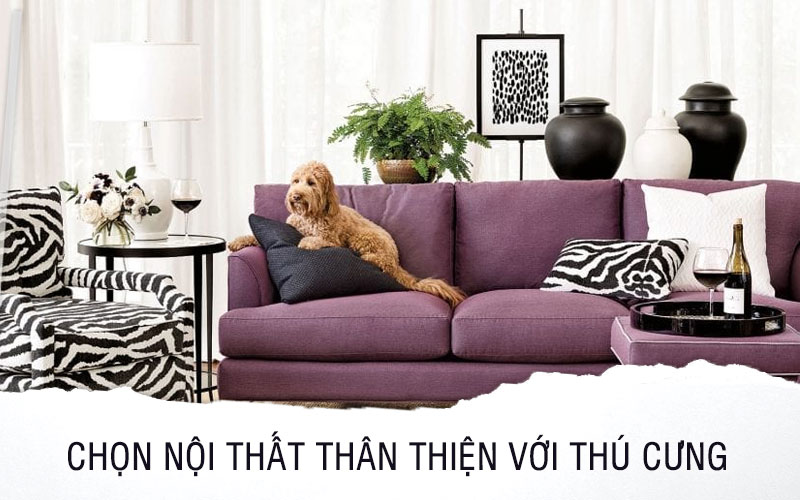 Mách bạn 5 cách thiết kế nội thất đẹp, thân thiện với thú cưng